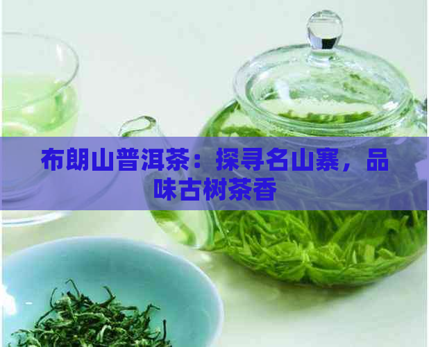 布朗山普洱茶：探寻名山寨，品味古树茶香