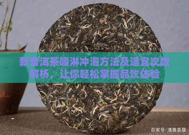 新普洱茶喷淋冲泡方法及适宜次数解析，让你轻松掌握品饮体验