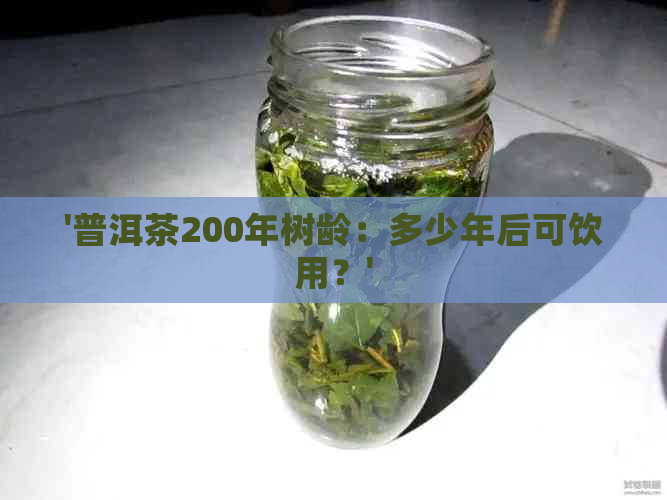 '普洱茶200年树龄：多少年后可饮用？'