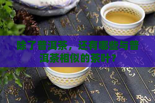 除了普洱茶，还有哪些与普洱茶相似的茶叶？