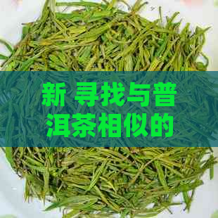 新 寻找与普洱茶相似的茶叶品种：它们是什么以及为何受欢迎