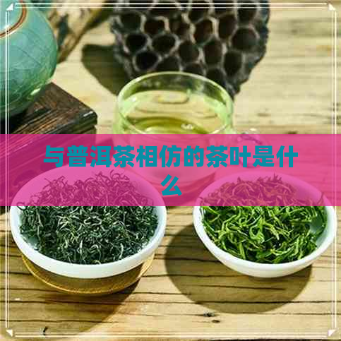 与普洱茶相仿的茶叶是什么