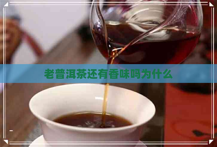 老普洱茶还有香味吗为什么