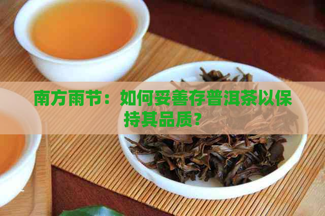 南方雨节：如何妥善存普洱茶以保持其品质？