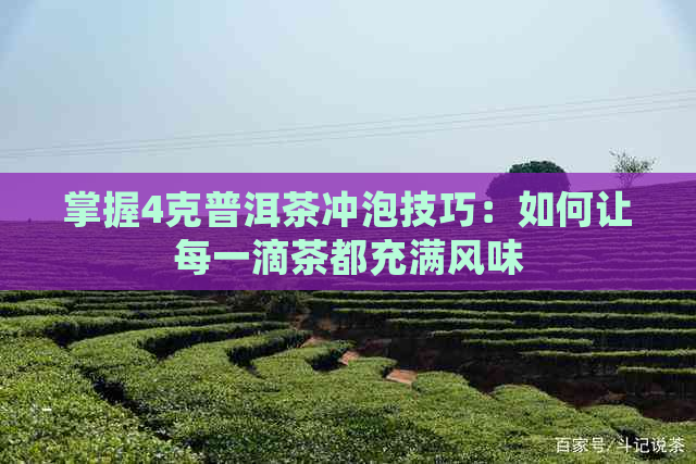 掌握4克普洱茶冲泡技巧：如何让每一滴茶都充满风味