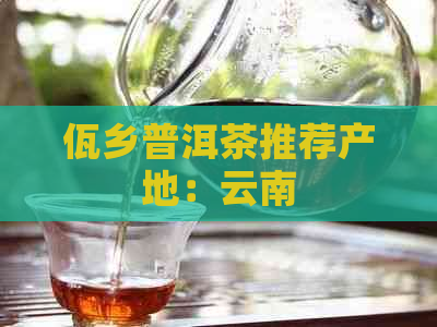 佤乡普洱茶推荐产地：云南