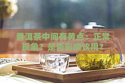 普洱茶中间有黄点：正常现象？是否影响饮用？