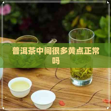 普洱茶中间很多黄点正常吗