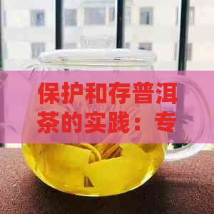 保护和存普洱茶的实践：专业技巧与实用建议