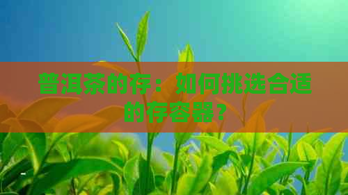 普洱茶的存：如何挑选合适的存容器？