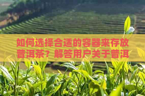 如何选择合适的容器来存放普洱茶？解答用户关于普洱茶存放容器的所有疑问