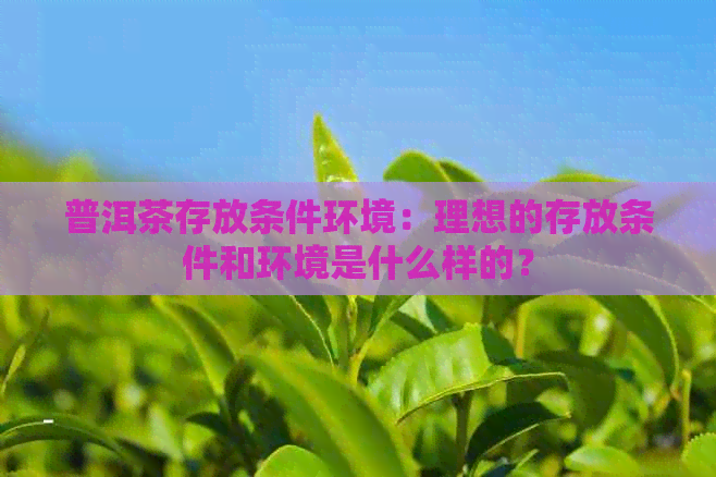 普洱茶存放条件环境：理想的存放条件和环境是什么样的？