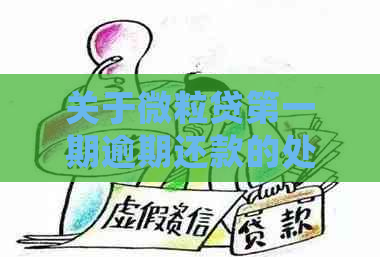 关于微粒贷之一期逾期还款的处理建议与影响分析