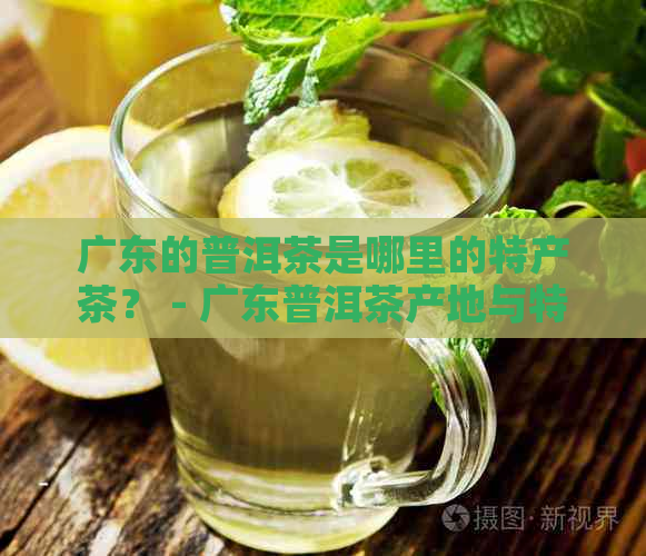 广东的普洱茶是哪里的特产茶？ - 广东普洱茶产地与特点及排行