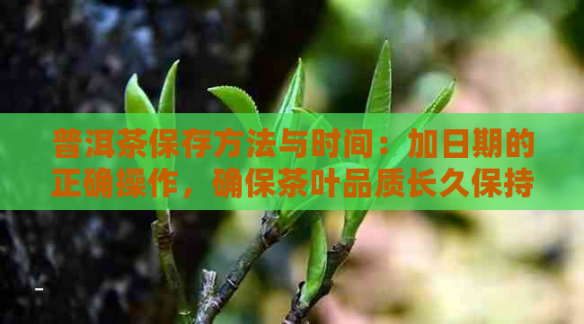 普洱茶保存方法与时间：加日期的正确操作，确保茶叶品质长久保持