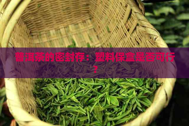 普洱茶的密封存：塑料保盒是否可行？