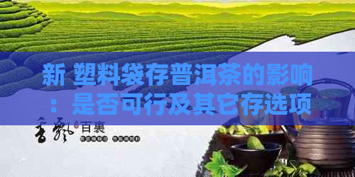 新 塑料袋存普洱茶的影响：是否可行及其它存选项