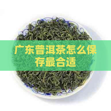 广东普洱茶怎么保存最合适