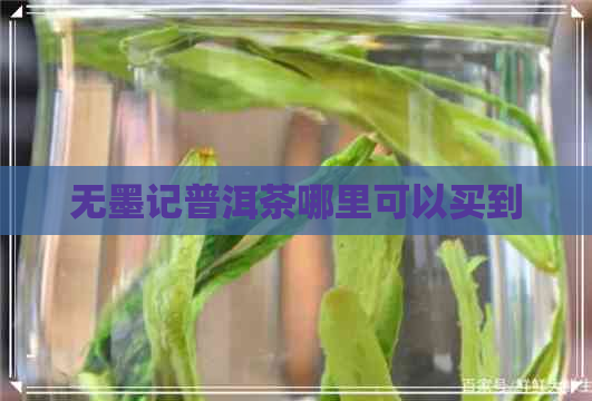 无墨记普洱茶哪里可以买到