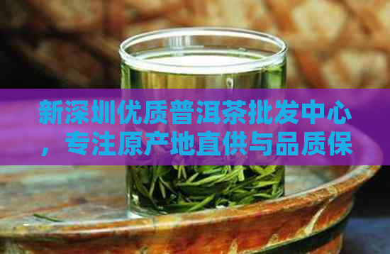 新深圳优质普洱茶批发中心，专注原产地直供与品质保证