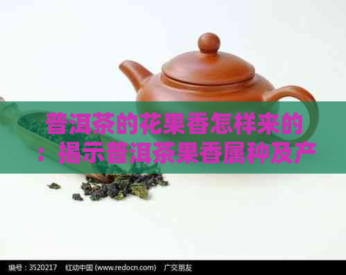 普洱茶的花果香怎样来的：揭示普洱茶果香属种及产生原理