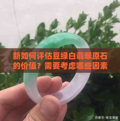 新如何评估豆绿白翡翠原石的价值？需要考虑哪些因素？