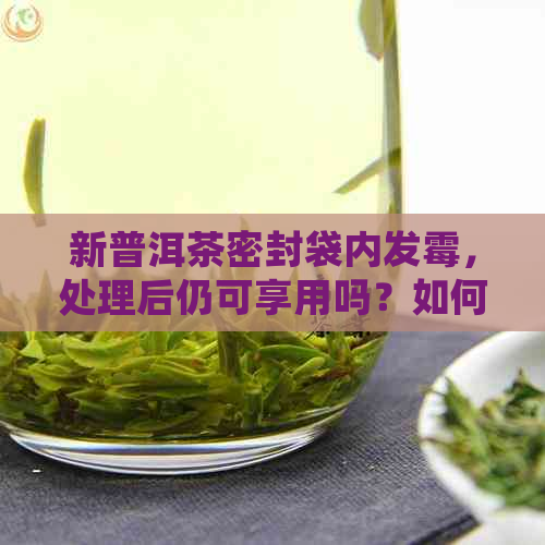 新普洱茶密封袋内发霉，处理后仍可享用吗？如何正确保存普洱茶？