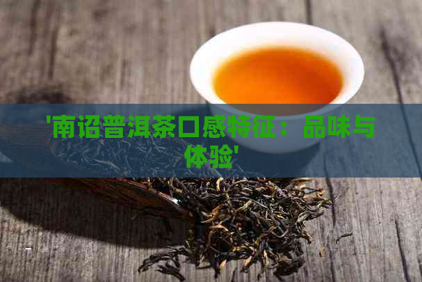 '南诏普洱茶口感特征：品味与体验'