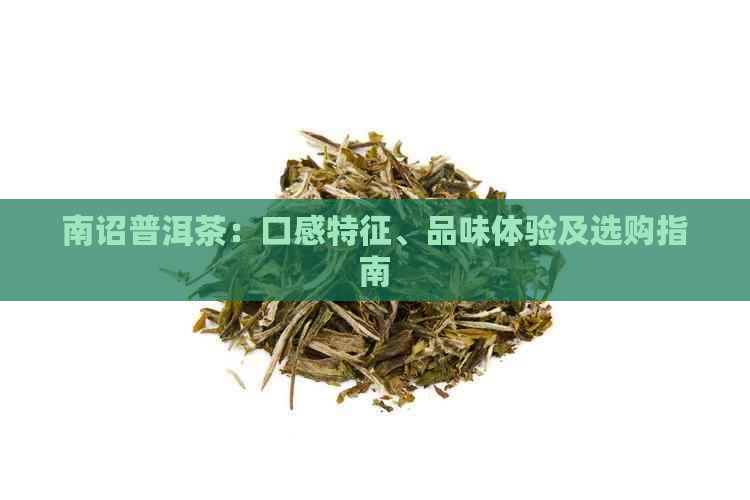 南诏普洱茶：口感特征、品味体验及选购指南