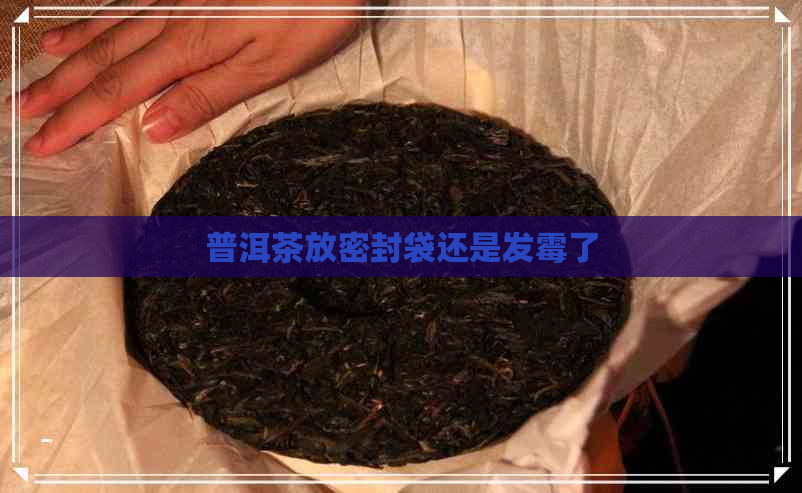 普洱茶放密封袋还是发霉了