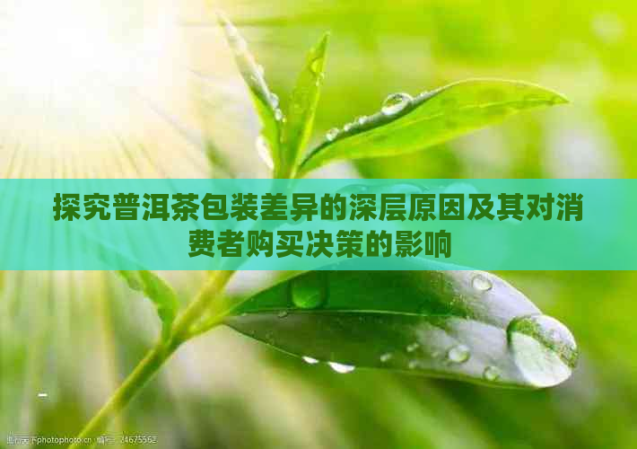 探究普洱茶包装差异的深层原因及其对消费者购买决策的影响