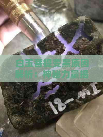 白玉菩提变黑原因解析：神秘力量揭露黑化奥秘