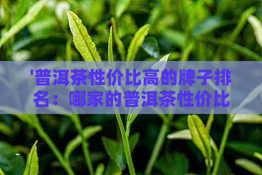 '普洱茶性价比高的牌子排名：哪家的普洱茶性价比高？'