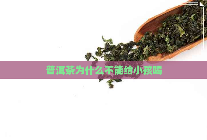 普洱茶为什么不能给小孩喝