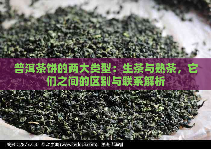 普洱茶饼的两大类型：生茶与熟茶，它们之间的区别与联系解析