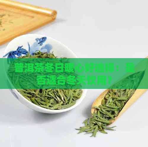 普洱茶冬日暖心好选择：是否适合冬天饮用？