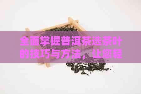 全面掌握普洱茶选茶叶的技巧与方法，让您轻松挑选出优质茶叶