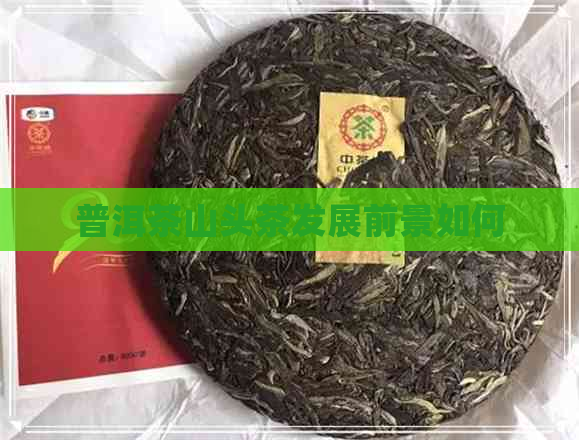 普洱茶山头茶发展前景如何