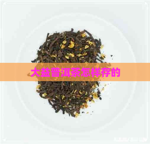 大益普洱茶怎样存的