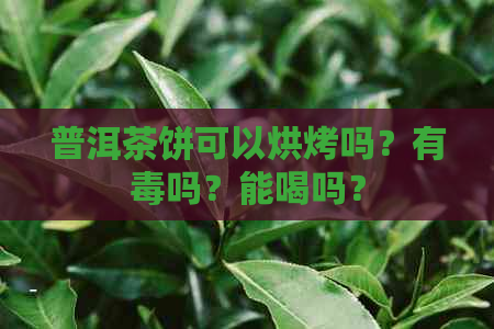 普洱茶饼可以烘烤吗？有吗？能喝吗？