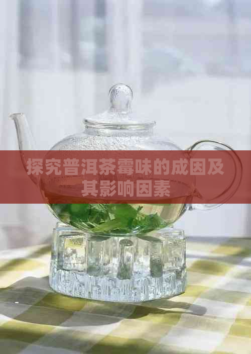 探究普洱茶霉味的成因及其影响因素