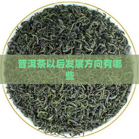 普洱茶以后发展方向有哪些