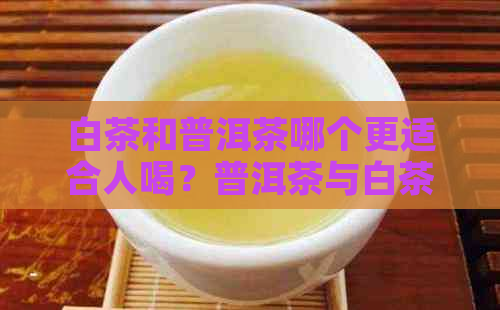 白茶和普洱茶哪个更适合人喝？普洱茶与白茶的味道对比及功效异同