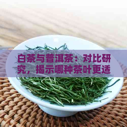 白茶与普洱茶：对比研究，揭示哪种茶叶更适合不同人群