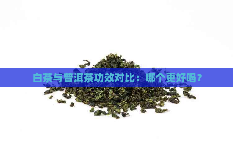 白茶与普洱茶功效对比：哪个更好喝？