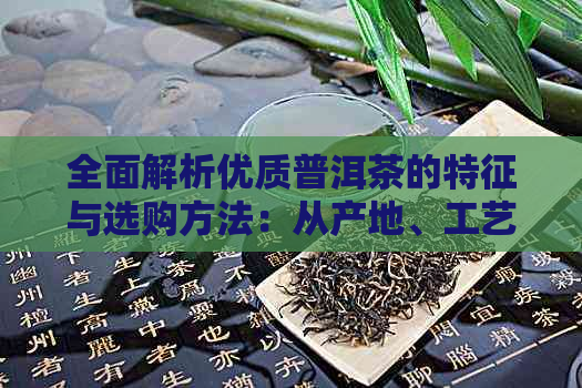 全面解析优质普洱茶的特征与选购方法：从产地、工艺到口感的全方位指南