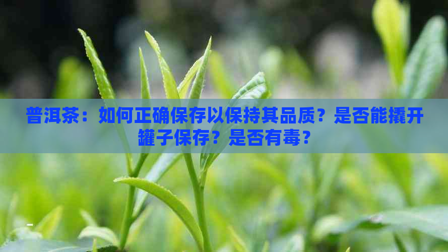 普洱茶：如何正确保存以保持其品质？是否能撬开罐子保存？是否有？