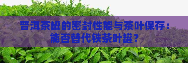 普洱茶罐的密封性能与茶叶保存：能否替代铁茶叶罐？