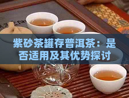 紫砂茶罐存普洱茶：是否适用及其优势探讨