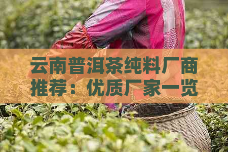 云南普洱茶纯料厂商推荐：优质厂家一览